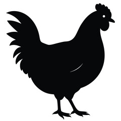 Chicken Silhouette, Vector EPS10 Illustration, Hen silhouette isolated on white background, Chicken hen silhouette isolated on white background, Flat vector Farm Animal illustration.