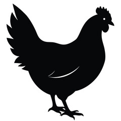Chicken Silhouette, Vector EPS10 Illustration, Hen silhouette isolated on white background, Chicken hen silhouette isolated on white background, Flat vector Farm Animal illustration.