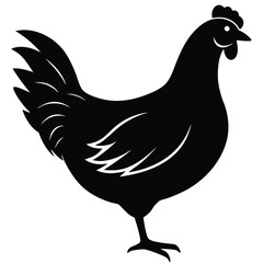 Chicken Silhouette, Vector EPS10 Illustration, Hen silhouette isolated on white background, Chicken hen silhouette isolated on white background, Flat vector Farm Animal illustration.