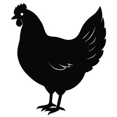 Chicken Silhouette, Vector EPS10 Illustration, Hen silhouette isolated on white background, Chicken hen silhouette isolated on white background, Flat vector Farm Animal illustration.