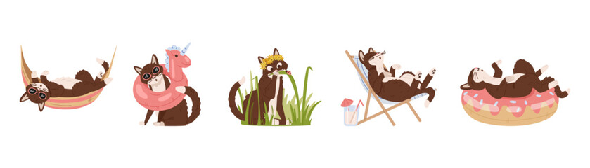 Cute cat doing summertime activities flat vector illustrations set isolated on white. Cat laying in hammock, wearing swimming ring, eating fresh grass, relaxing in swimming ring and sun lounger.
