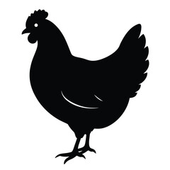 Chicken Silhouette, Vector EPS10 Illustration, Hen silhouette isolated on white background, Chicken hen silhouette isolated on white background, Flat vector Farm Animal illustration.