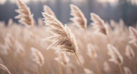 Obraz premium Whispers of the Golden Field AI Generated
