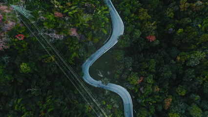 Aerial drone view of a winding road making its way through a dense, lush green forest, showcasing power lines alongside the road and the natural beauty of the landscape