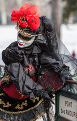 Disguised Person - Annecy Venetian Carnival 2013