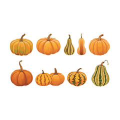 set of pumpkins