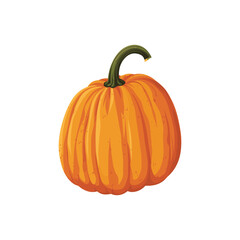 pumpkin on a white background