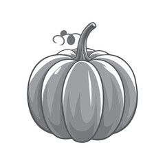 pumpkin on a white background