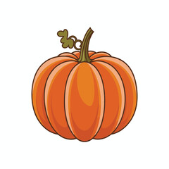 pumpkin on a white background