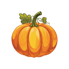 pumpkin on a white background
