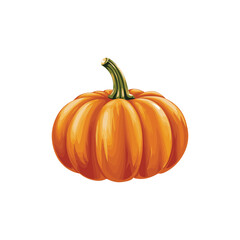 pumpkin isolated on white