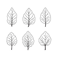 Obraz premium Papaya Leaf Vector Line Art Design for Branding