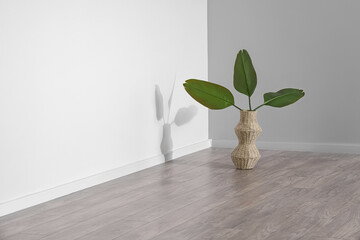 Vase with palm leaves near grey wall in room