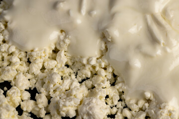 white cottage cheese with sour cream, sprinkled with liquid sour cream, lumps of freshly made fermented milk , close up