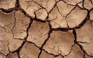 Fototapeta premium Cracked Dry Earth Texture