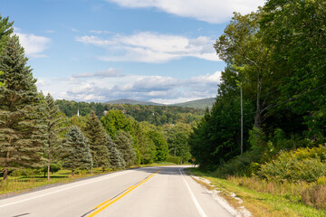 Fototapeta premium Asphalt road through pine forest