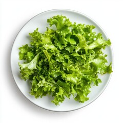 Obraz premium Garden Salad with Fresh Harvest