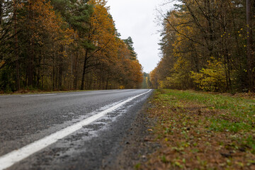 yellow and orange foliage falling on the road during the autumn leaf fall, side view