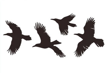 Crows flying in formation, a stock picture of a standalone object on a transparent backdrop