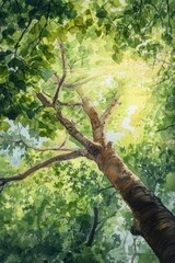 Fototapeta premium An upward perspective view of a tree and bright sunlight