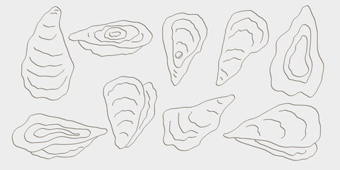 Line art oysters background. Seafood illustration