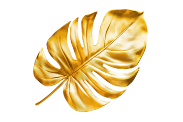 Gleaming gold monstera leaf on white backdrop luxurious tropical detail vibrant golden hue elegant isolated on transparent background