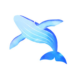 水彩タッチのクジラのイラスト素材