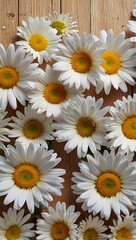 Obraz premium Bright and cheerful spring themed background with fresh yellow and white flowers top border, Garden flowers over wooden background