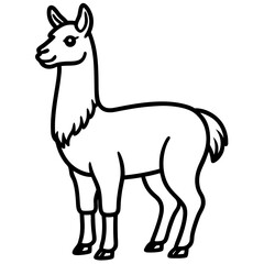 vector illustration of a donkey