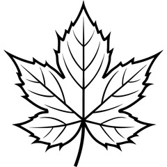 silhouette of a flower