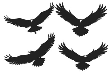 set of Bald Eagle silhouette vector illustration