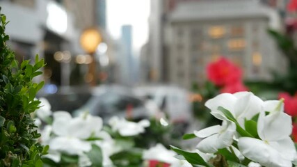 New York City, United States, Manhattan Midtown Broadway, 23 street, 5 avenue crossroad intersection. Worth Square near Madison Park and Flatiron Building, USA. Yellow taxi cab, street clock, flowers.