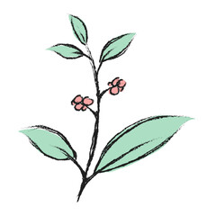 Branch with green leaves hand drawn illustration. Floral element design. Hand drawn botanical illustration