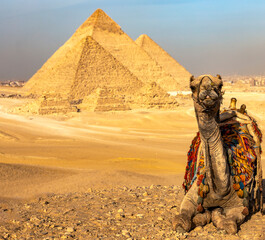 Feature a Giza's camel tourist scene with the ancient Egypt pyramids, a world wonder. Perfect for travel blogs and cultural heritage presentations.