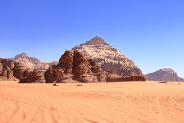 Camels in a Wadi Rum desert, Jordan