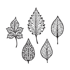 Fototapeta premium Elegant Henna Leaf Vector Line Art Design