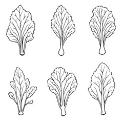 Elegant Kohlrabi Leaf Line Art Vector for Creatives