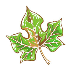 Green leaf icon showcasing nature, organic beauty concept