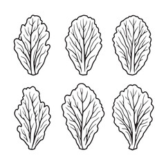 Elegant Lamb Lettuce Leaf Vector Line Art Design