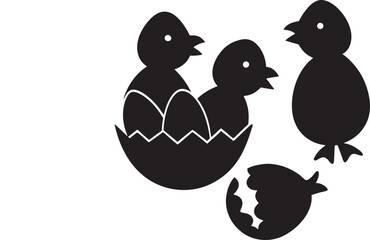 Baby chicks hatching from eggs on white background