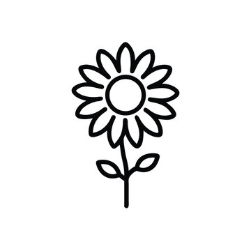 recommend clip art: Simple Sunflower Illustration Outline Flower Design With Stem And Leaves