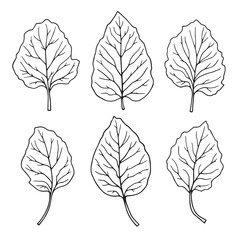Obraz premium Fiddle Leaf Vector Line Art for Home Decor