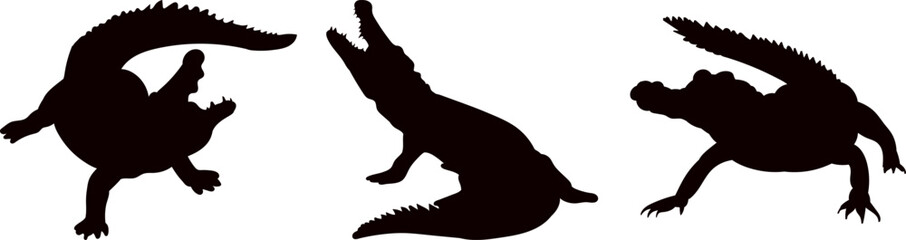 silhouette of crocodiles on white background vector