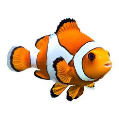 Clownfish with orange and white stripes isolated on transparent background