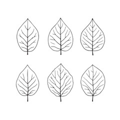 Obraz premium Elegant Custard Apple Leaf Vector Line Art Design