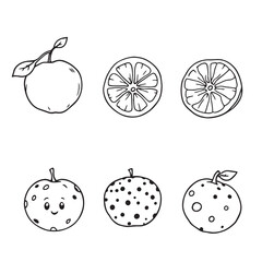 Modern Clementine Vector Line Art Design for You