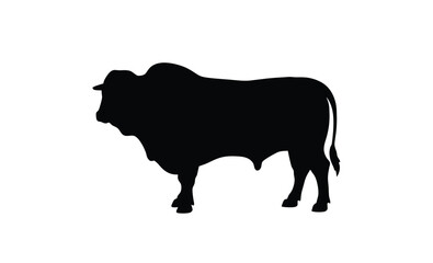 Strong brahman bull standing silhouette, Brahman Bull silhouette vector art white background 