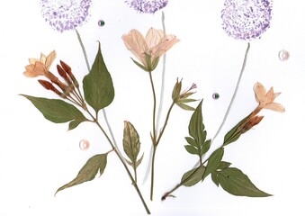 Close up detail of pressed and dried summer flowers.
