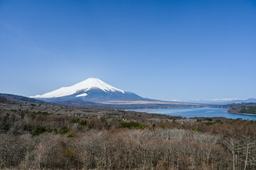 山梨県パノラマ台からの山中湖と富士山