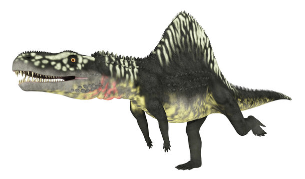 Archosaurier Arizonasaurus, Freisteller